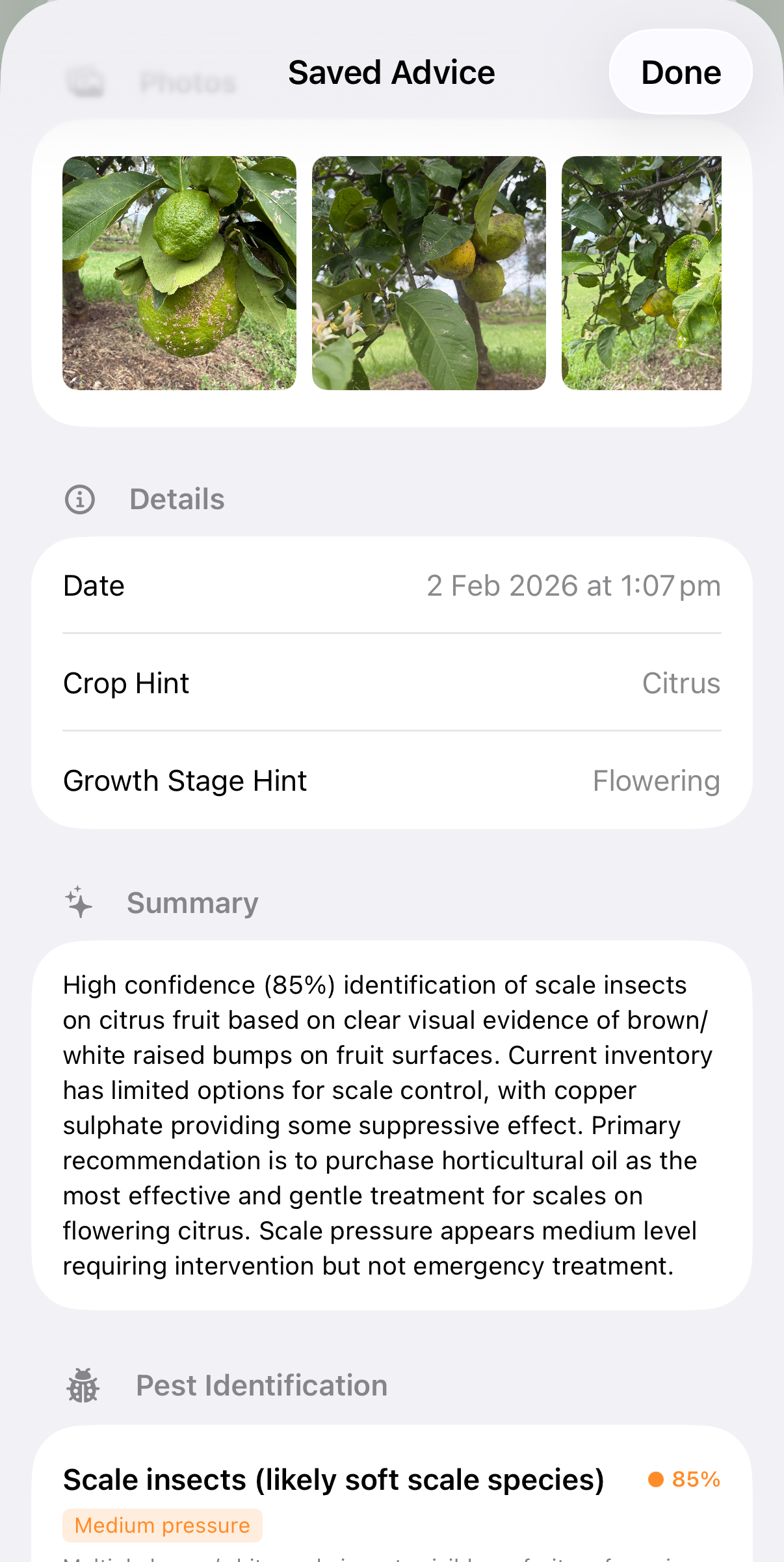 Alffi Crop Advisor identifying pests and diseases from crop photos